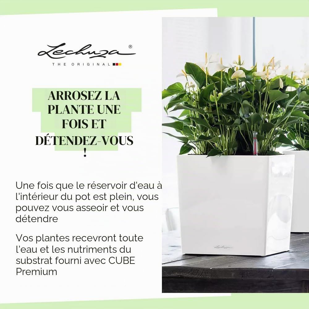 Lechuza – Pot de Fleurs d'Interieur – Premium Cube – Réserve d'Eau Intégrée – Coloris Blanc – 30 x 30 x 30 cm