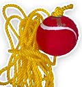 Neo Sportings Hanging Cricket Ball Trainer 3.5m Rope | Batting Practice Tennis Ball | Cricket Training Aid for Hand Eye Coordination | Practice Ball for Indoor & Outdoor Cricket gallery image