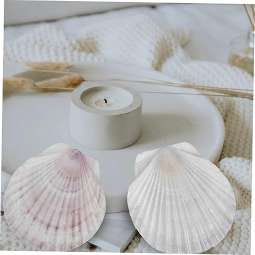 Miniatura 8 de Healifty Platos de concha de vieira 10 piezas de decoración natural de conchas para decoración de barbacoa de cena