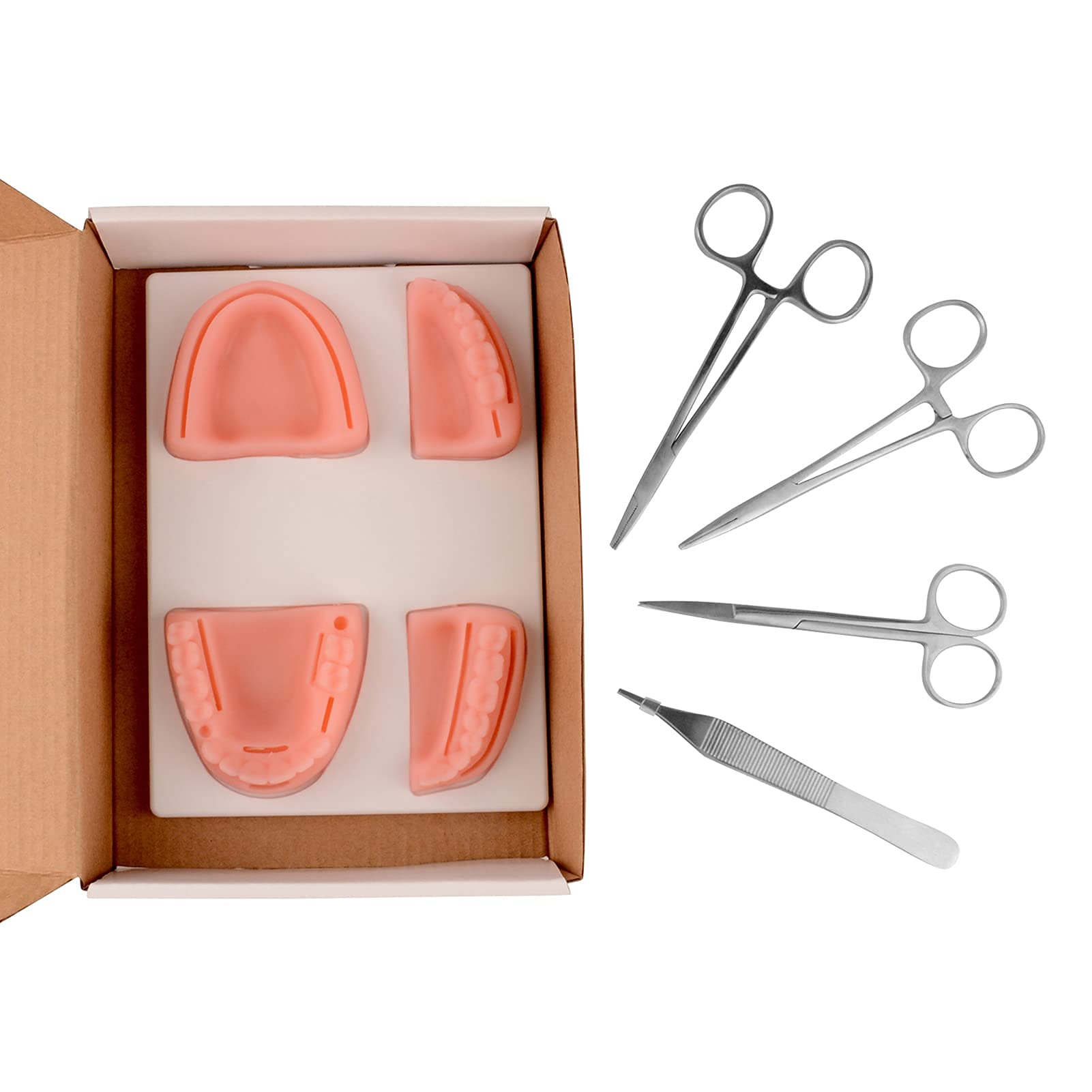 Set di moduli di formazione per la sutura orale, modello di sutura per parodontite in silicone orale/gengivale dentale con tre moduli di stile, modulo standard di simulazione per la pratica della sut