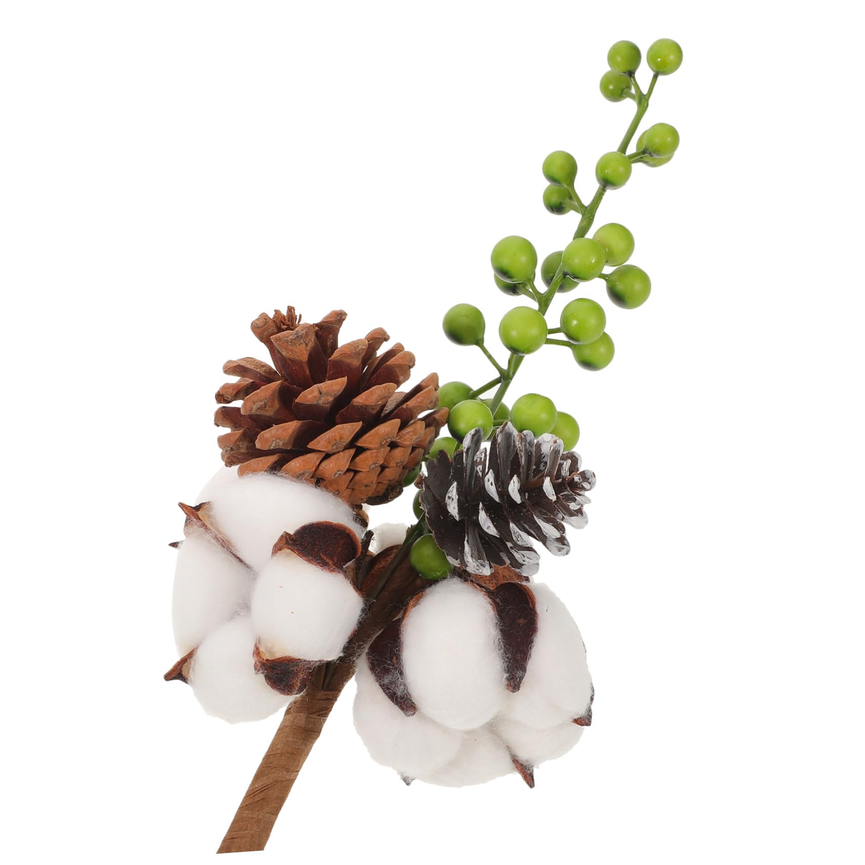 IMIKEYA 4 Pcs Tiges de Coton Séché Fleurs Décoratives Naturelles pour Décoration D'intérieur Automnale et Mariage