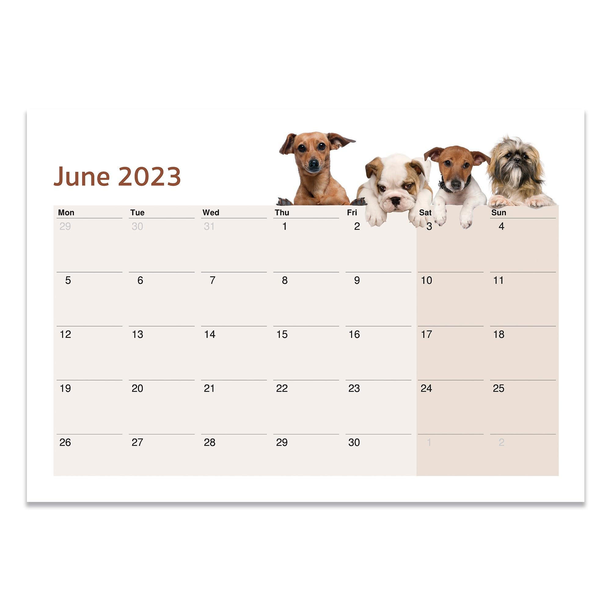 2023/2024 Monthly Planner Dogs Blue, Klein - Image 4