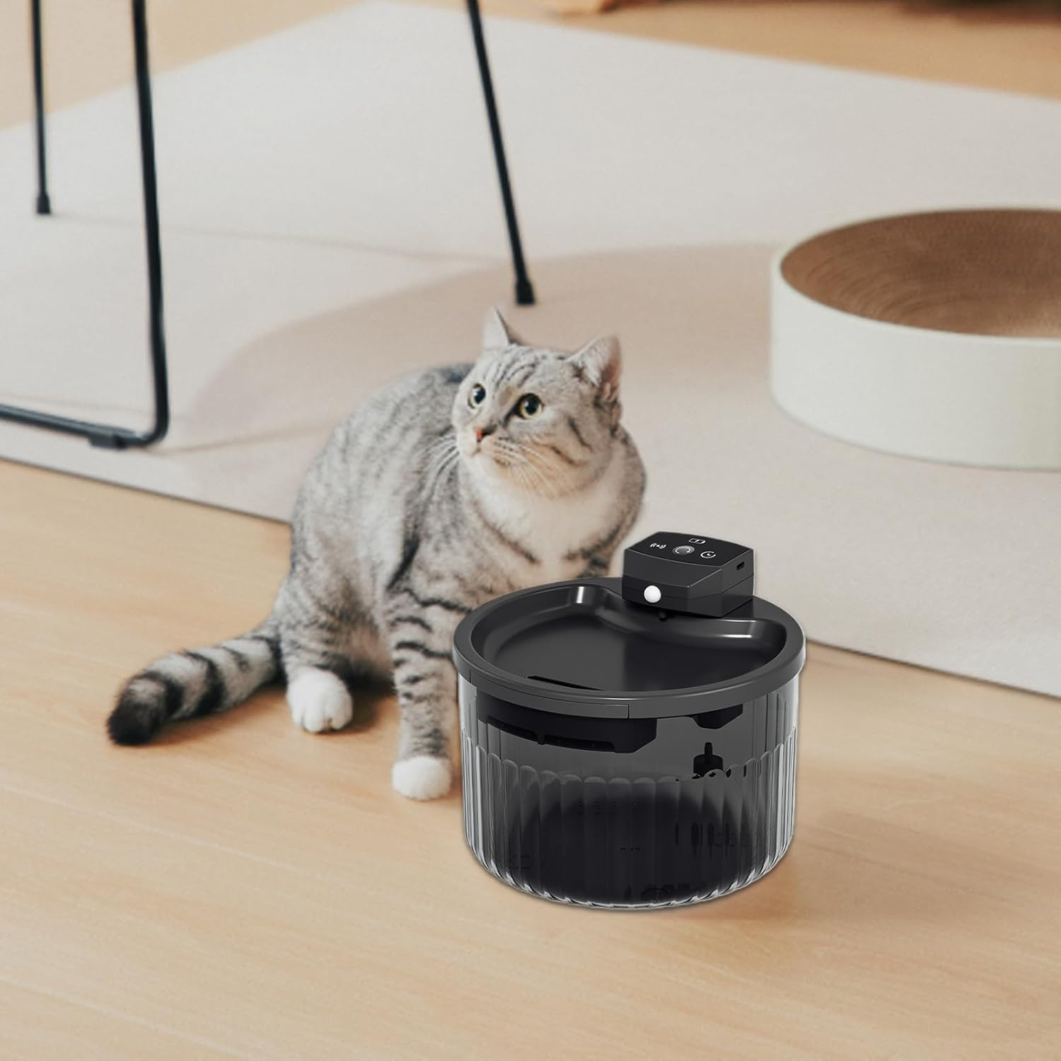 Cat Water Fountain,2L Kitten Waterer - Automatic Pet Water Dispenser | for Pet Parents Veterinarians Animal Shelters Farm Owners Garage Barn Patio Cattery Living Room