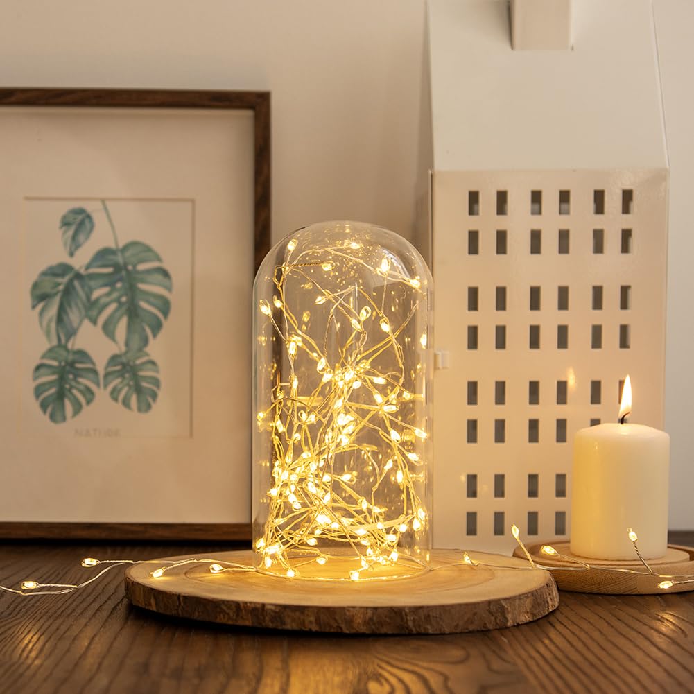 30m 1000 LED Luci a Grappolo Bianco Caldo, Filo d'Argento con Telecomando, Luci di Natale per Albero, Interni ed Esterni, Giardino, Camera da Letto, Patio