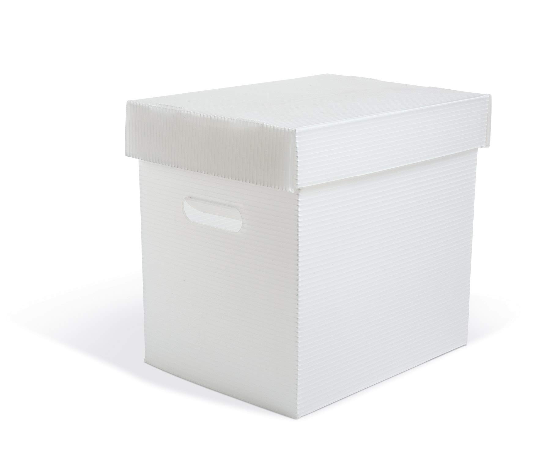 Gaylord Archival Polypropylene Record Album Box - 10 1/2W x 13L x 13