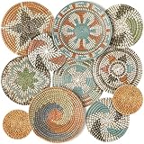 Tatuo 11 Pcs Boho Wall Basket Decor Bulrush Woven Wall Hanging Art Round Farmhouse Rustic Handmade Wicker for Summer Home, Bedroom, Living Room, Kitchen Decorations, Multi Sizes(Farmhouse)