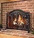 Plow & Hearth Metal Fireplace Screen Crest Black | 38