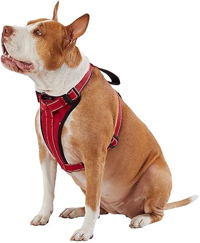 KONG Max Ultra Durable Neoprene Padded Chest Plate Dog Harness Offered by The Barker Company (Red, Medium)