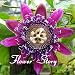 40 Seeds Passion Flower (Passiflora Caerulea) fresh fragrant bloom huge fruit, robust climber Original Package