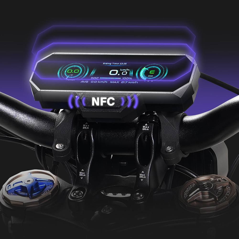 79Bike Falcon Pro Dirt Bike elettrica per adulti, motocicletta elettrica da 19 pollici con batteria al litio da 72 V 35 Ah, autonomia di 125 km, motore 10 kW, bici elettrica da 410 Nm (argento viola)