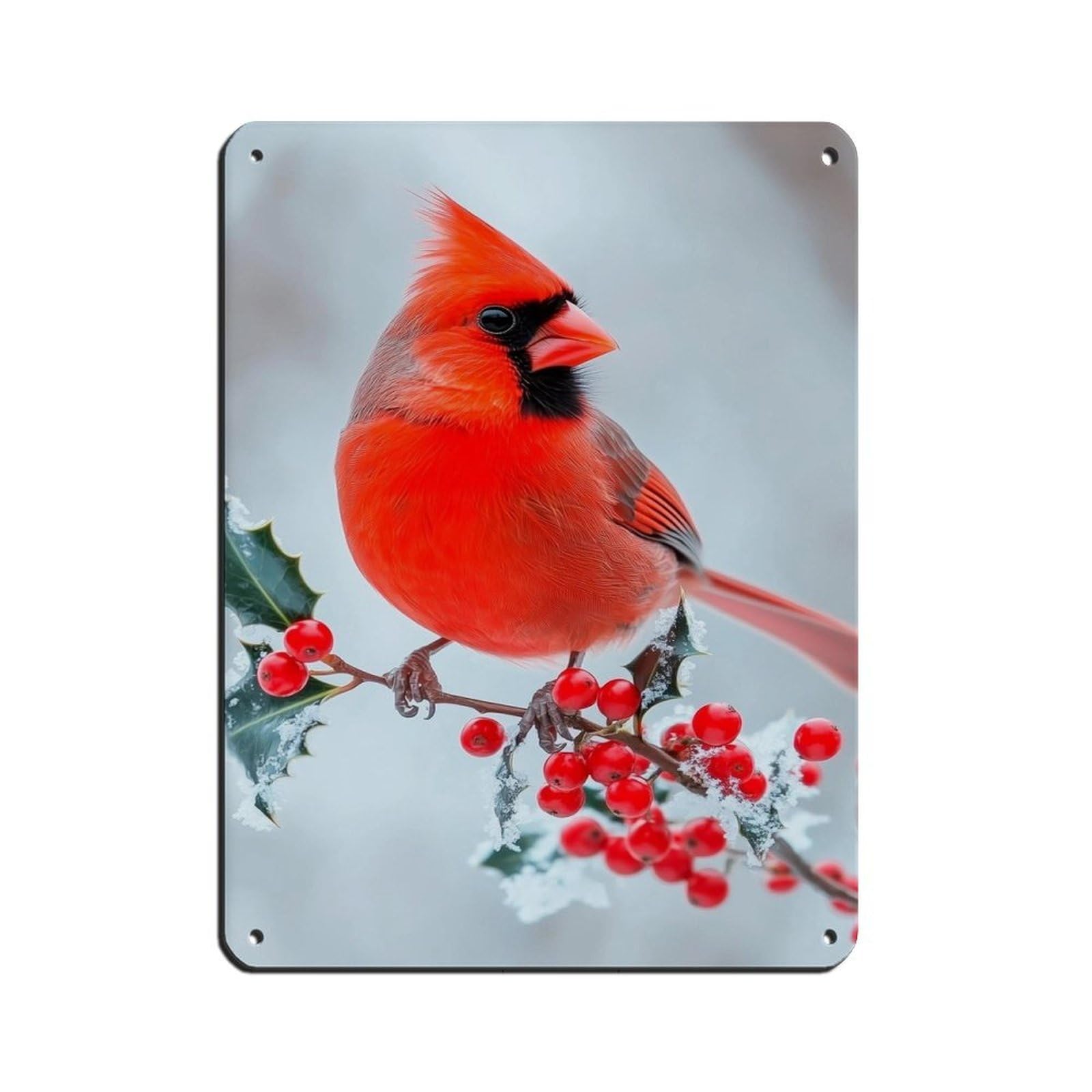 Red Cardinal Photograph, Nature Art Poster Tin Sign Vintage Metal Pub Club Cafe Bar Home Wall Art Decoration Poster Retro 12x16inch(30x40cm)