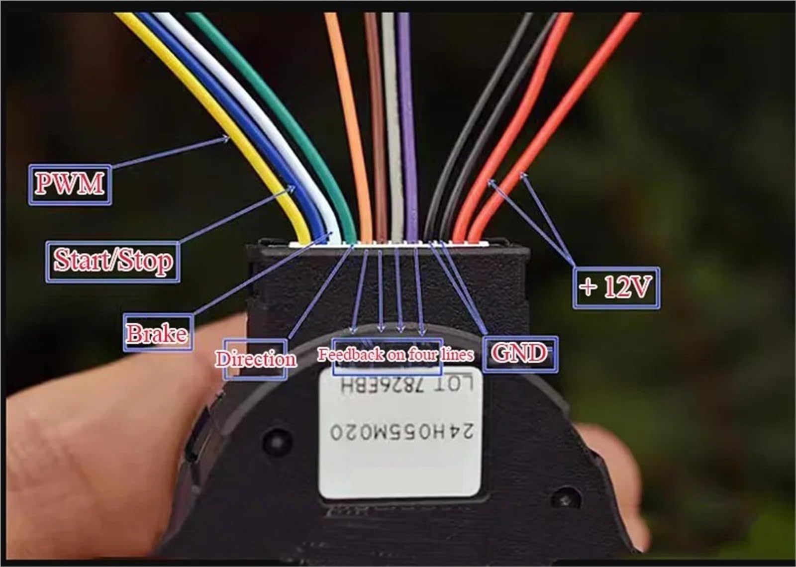 Servomotor sin escobillas de 24 horas, 12 V CC, regulación de velocidad integrada, codificador de 100 líneas