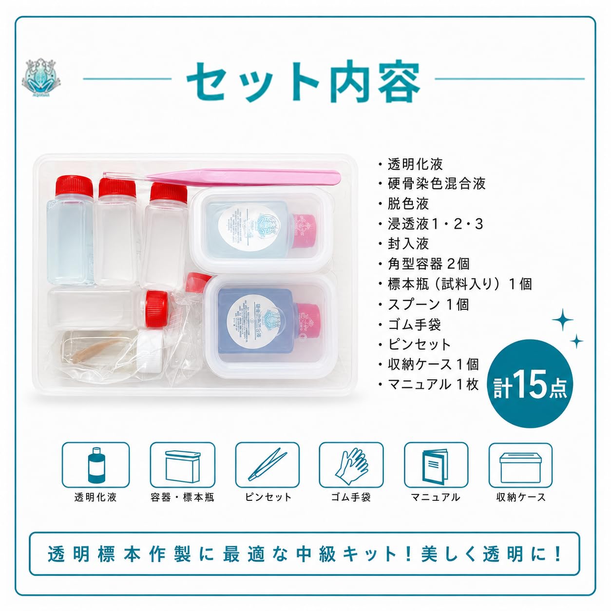 Amazon | AQULEAR ミニ透明標本作製キット 中級 全15点 カエル | 透明