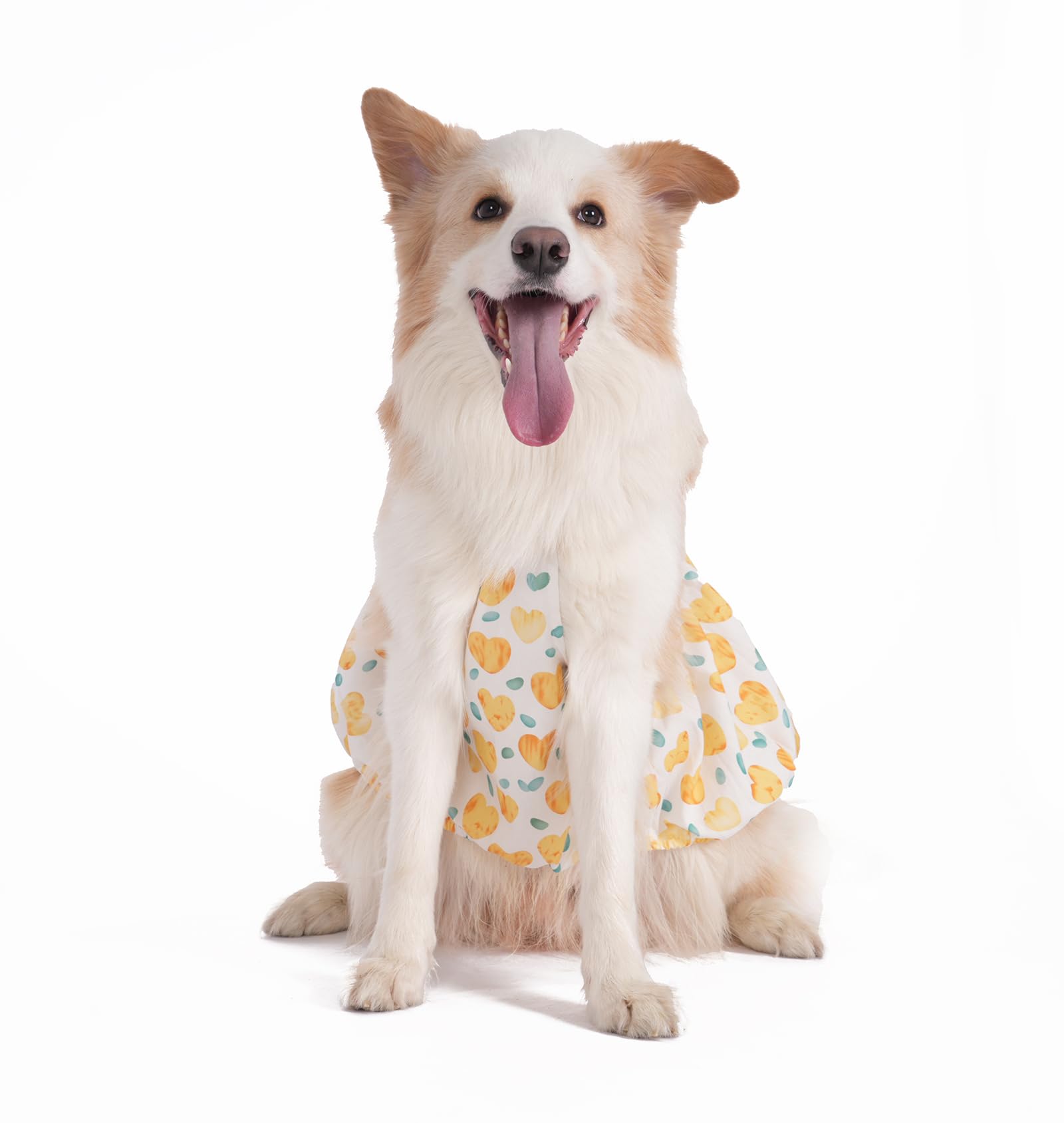 BT Bear Large Dog Dress,Soft Breathable Cotton Pet Princess Skirt Medium Large Dogs Clothes Summer Skirt Yellow Love,4XL - Image 4