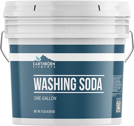 Earthborn Elements Washing Soda (1 Gallon), Soda Ash, Sodium Carbonate, Non-Toxic Laundry Booster