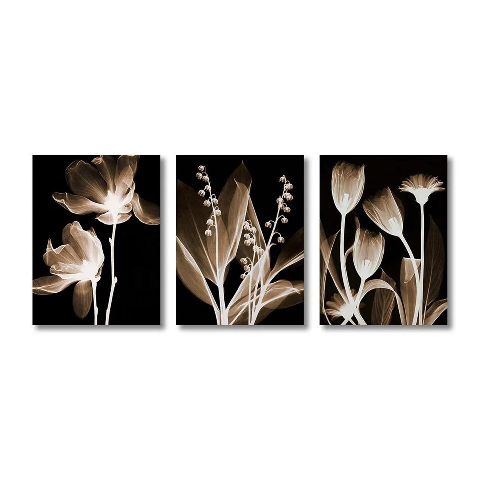 Toile de peinture de fleurs tulipes noir et blanc tableau déco nature salon 3 pièces 50x70cm