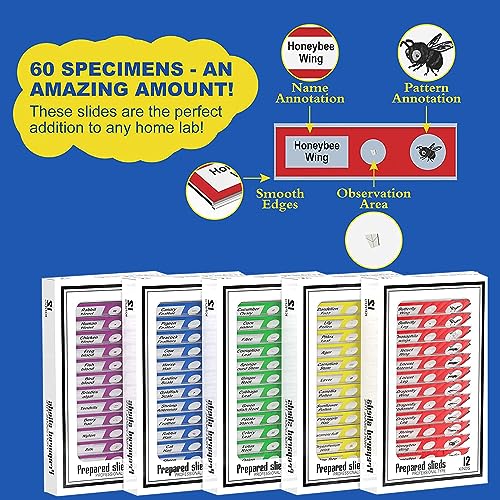 Image of Jiusion 60Pcs Prepared Microscope Slides Specimen Animals Insects Plants Flowers Sample Biological Specimen, Stereo Microscope Slide for Kids Children Students Enlighten Education
