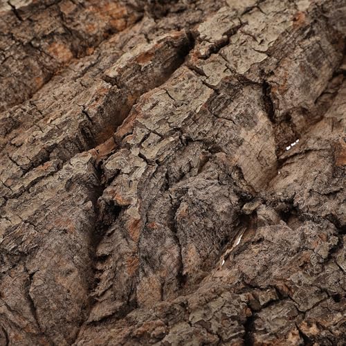 Corteza de árbol para acuario tablero natural decorativo y ligero apto para peces y reptiles 4