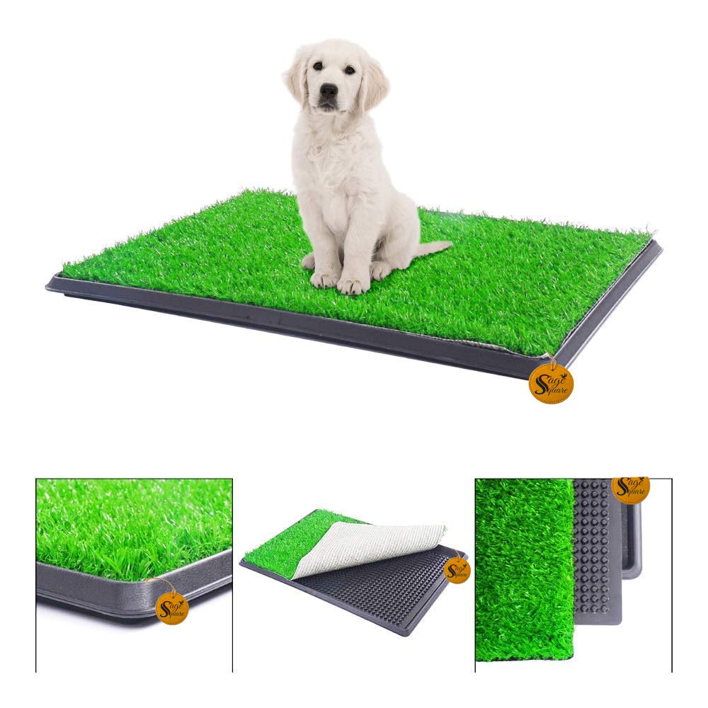 Sage Square Dog Cat Potty Toilet Patch Training Pad for Indoor or Outdoor Use, 3 Pieces Puppy Training Pad Dog Relief System (B08KD1Z3R9) Amazon Price History, Amazon Price Tracker