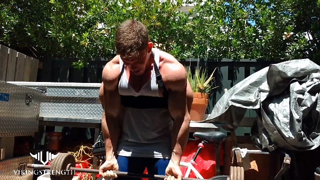 Amazon.co.jp: Vikingstrength アームブラスター アームカール