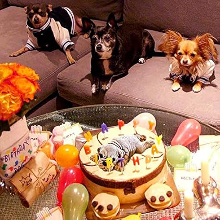 Moule 3d Stereoscopique En Silicone Pour Chien Sable Sale Chien Chien Silicone Moules Gateau Mousse Glace Creme Chocolat Amazon Fr Cuisine Et Maison