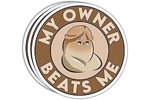 (3 Pcs) My Owner Beats Me Sticker