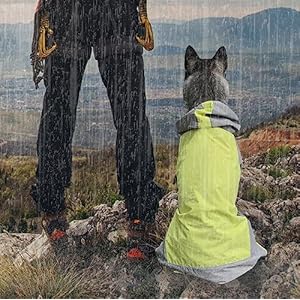 Dog Raincoatdog Waterproof Jacketreflective Dog Jacket with Hoodielightweight Dog Poncho Slickerdog Rain Coat for Medium Large Dogs green Xlarge  Cucciolini Doodles Dog raincoatdog waterproof jacketreflective dog jacket with hoodielightweight dog poncho slickerdog rain coat for medium large dogs green x large   cucciolini doodles