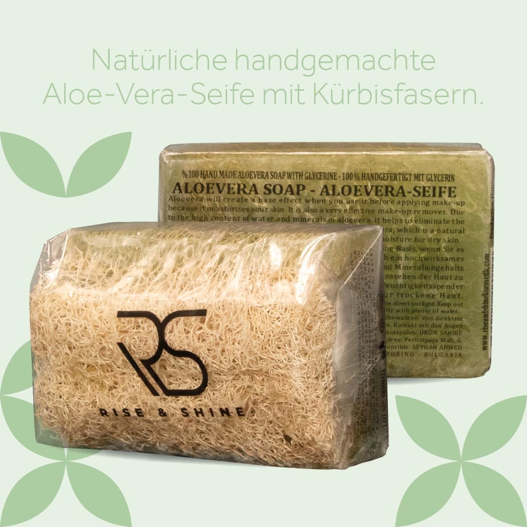 aloe vera neue wurzeln Aloe vera | Sukkulente