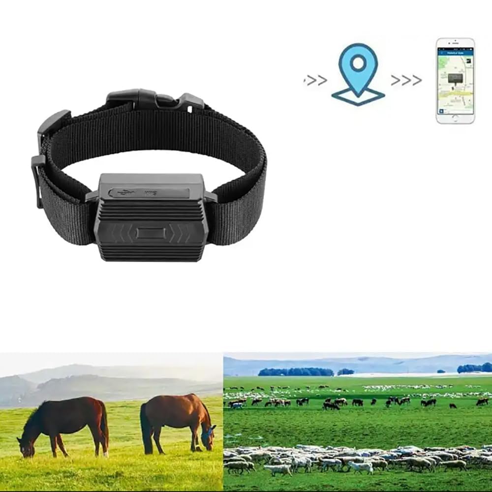Localizador GPS para animales, rastreador antirrobo en tiempo real con monitoreo de latitud y longitud, alertas de velocidad, para ganado, ovejas y caballos