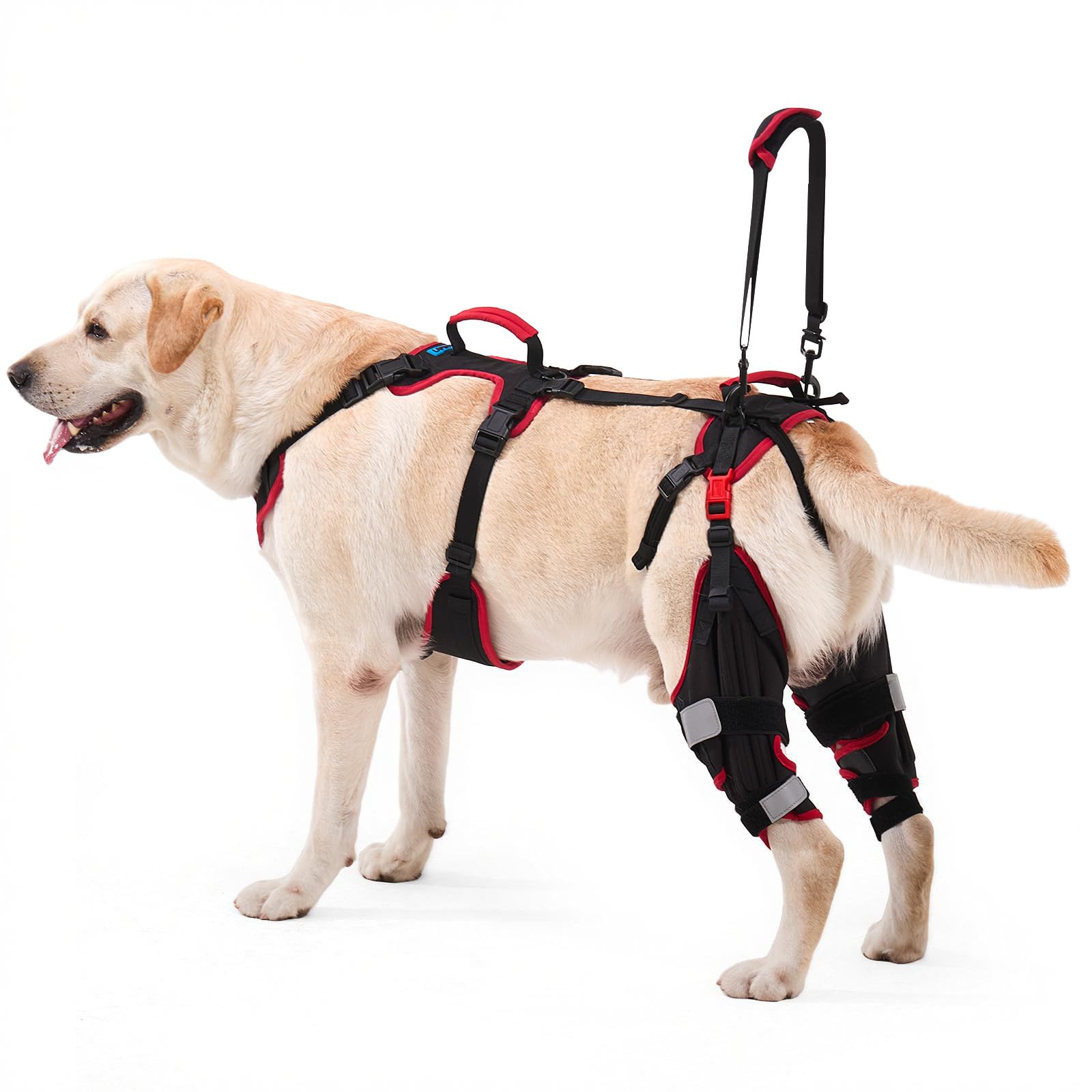Lafoty Dog ACL CCL Knee Brace Set Large