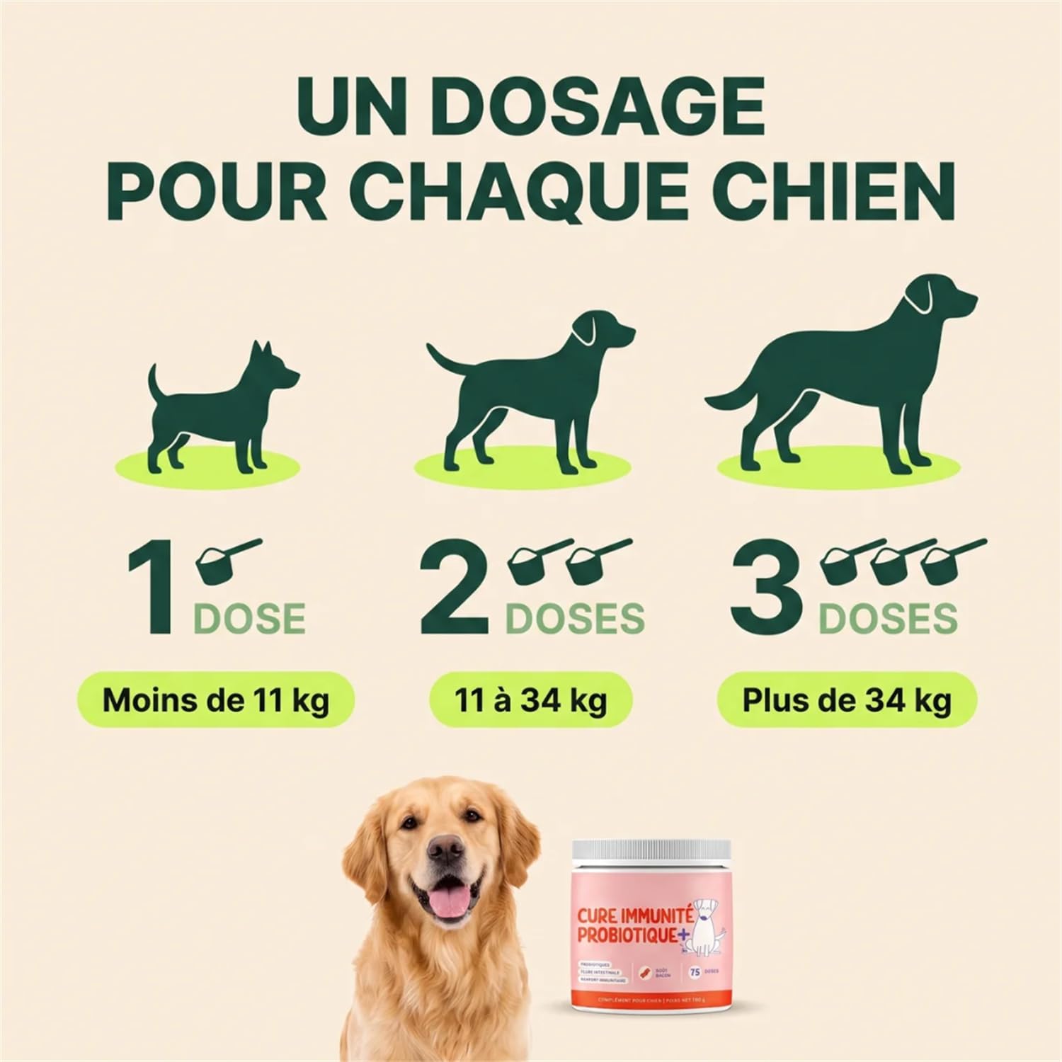 Cure Immunité Probiotique+ Chien – Complément Alimentaire Vétérinaire – Digestion, Flore Intestinale & Vitalité – Saveur Bacon – Poudre à Saupoudrer sur Croquettes