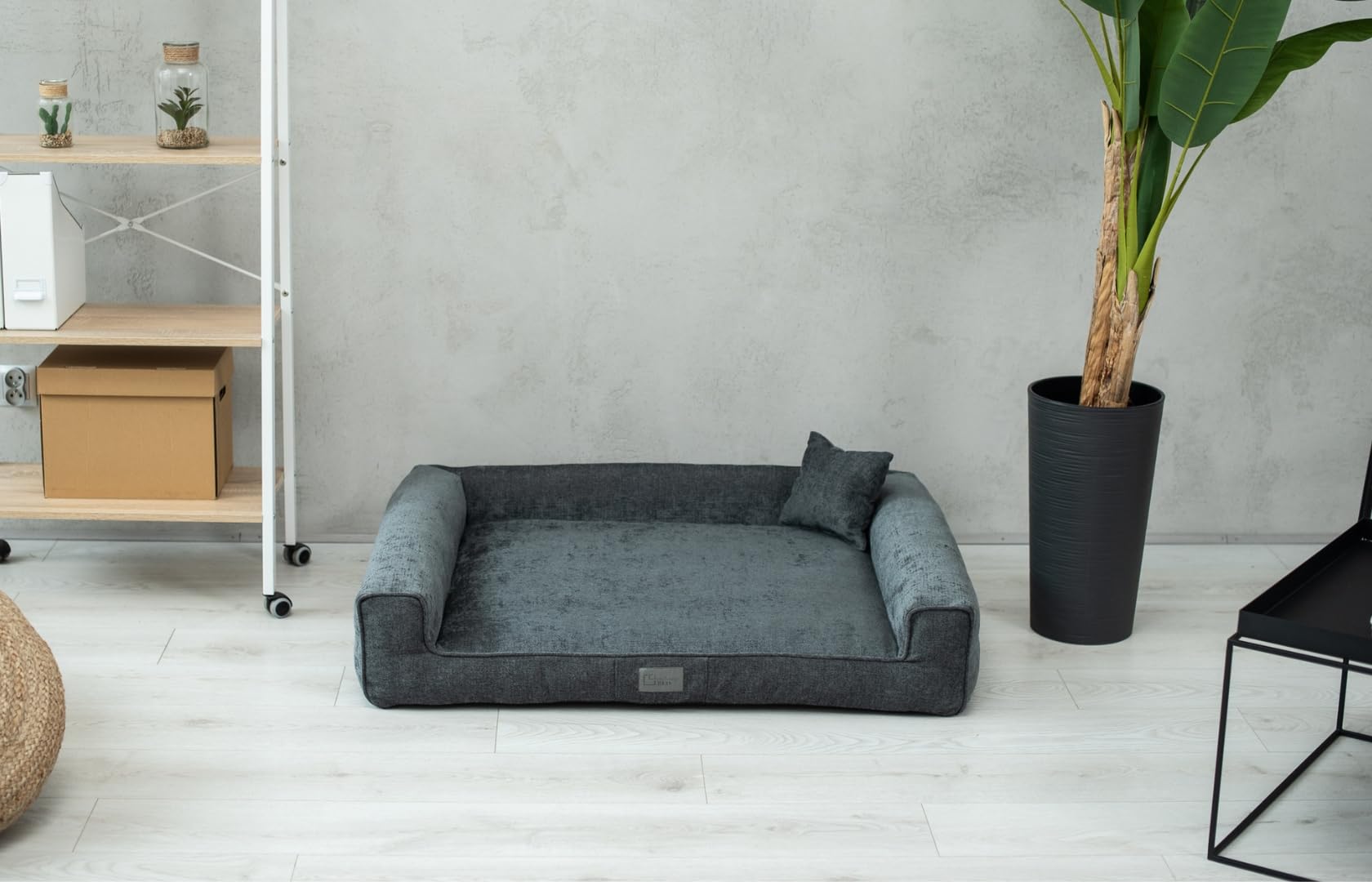 exclusiveBED Cama ortopédica Sofi para perros medianos | Elegante sofá para perros con respaldo antideslizante | Funda extraíble | Colchón de espuma viscoelástica | Tela lavable (XL, grafito)