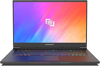Vector Pro (2021) 17.3 inch RTX 3070 Gaming Laptop, AMD Ryzen 9 5900HX Processor, NVIDIA GeForce RTX 3070 8GB GPU, 17.3 inch 165Hz QHD Display, 32GB DDR4 RAM, 1TB NVMe SSD, Windows 10 Pro