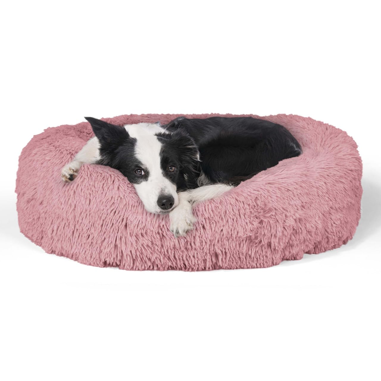 CAPHAUS 24/30 Inch Calming Donut Pet Bed for Small/Medium Cats and Dogs, Anti-Slip Bottom, Washable, Anti-Anxiety Fluffy Round Cat Bed, Indoor Shaggy Cuddler Cotton Candy Brown, Light Gray, Pink Bed