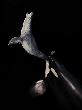 Memory Museum 115 Scale Killer Whale Statue Mosasaurus Figure Animal Collector Decor Gift for Adult