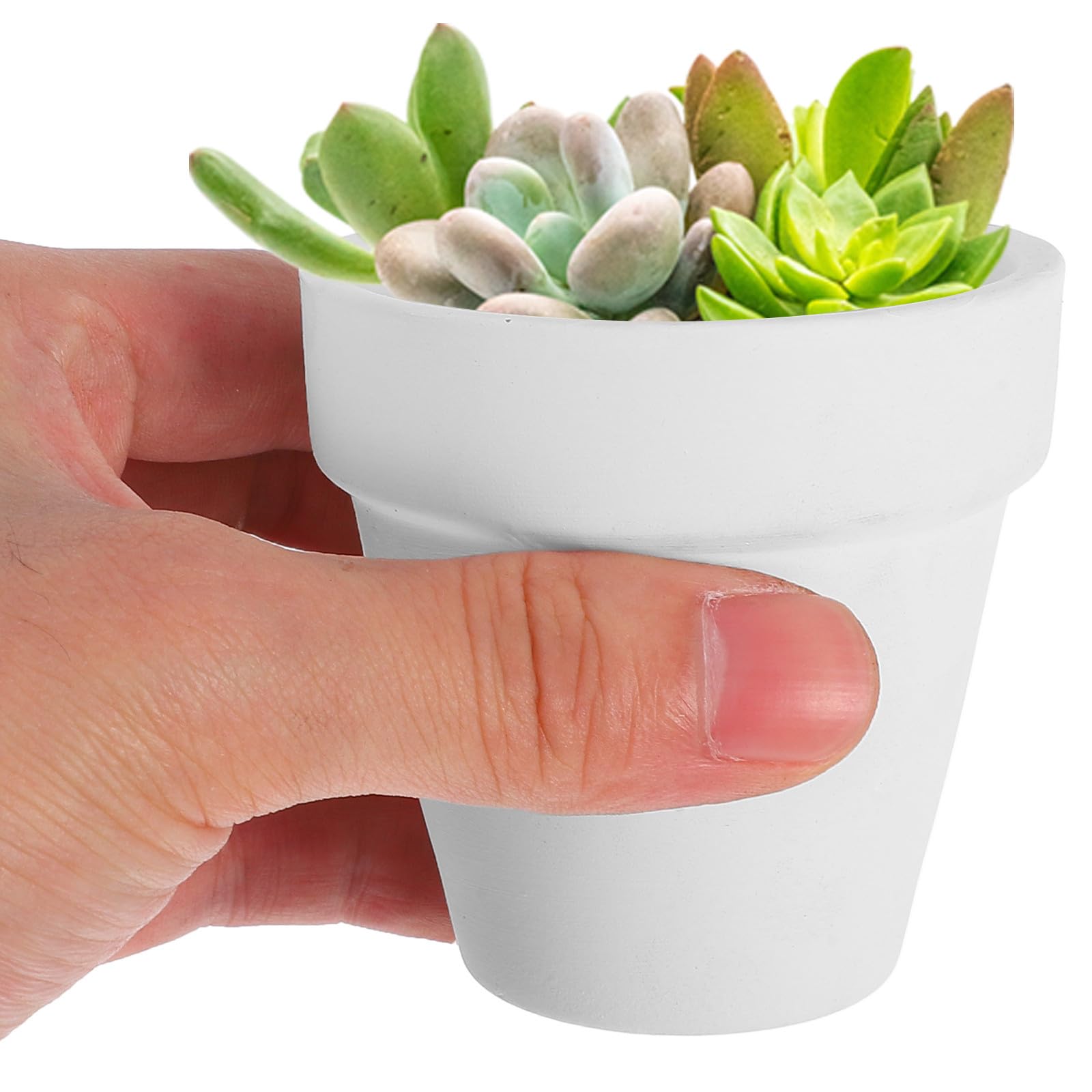 BESPORTBLE 20 Unidades Maceta de Terracota Color Claro Pequeña para Cactus con Agujero