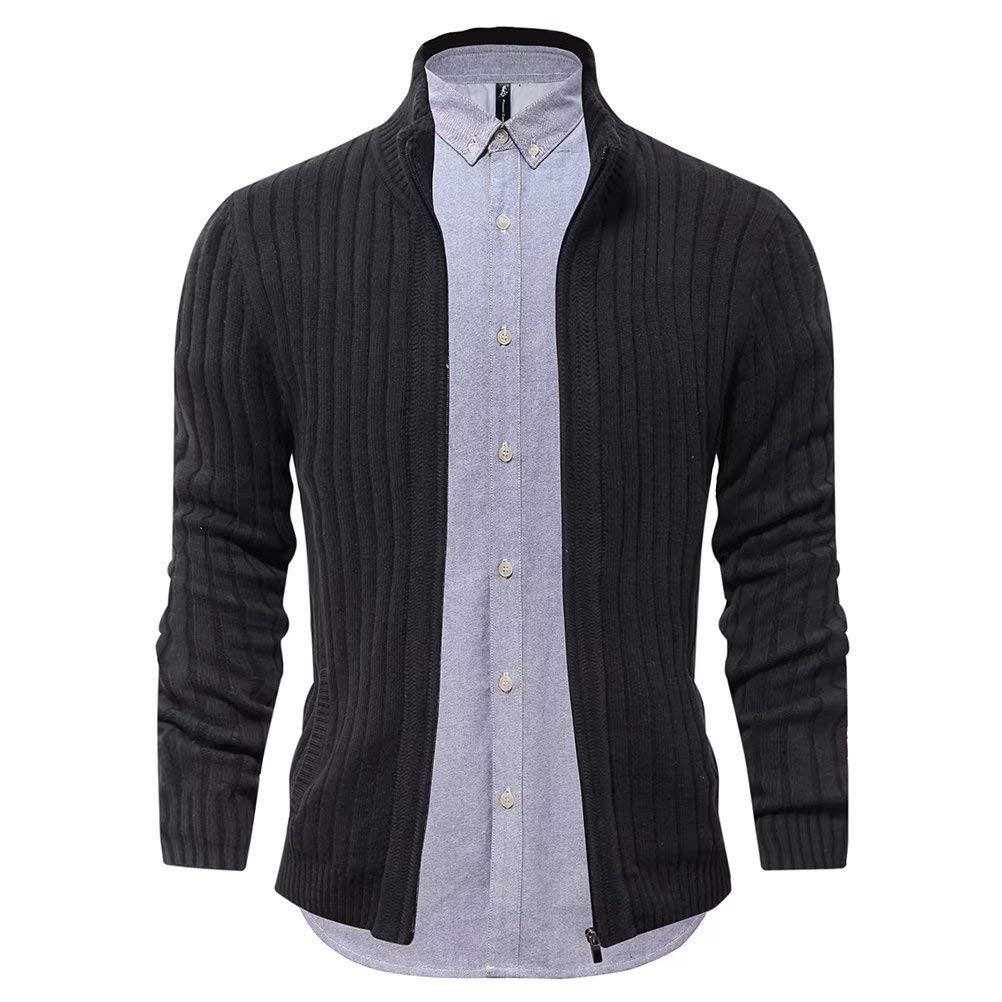 AOLI RAY Herren Strickjacke mit Reissverschluss Cardigan Stehkragen Pullover Feinstrike Sweaters mit 2 Taschen