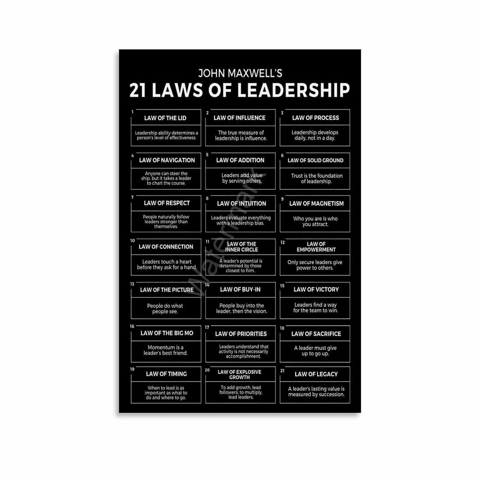 RNUMLIGH Laws of Leadership Motivational Poster Canvas Wall-Art Print for Office Decor Inspirational Quote for Boss or Manager Gift(Unframed,08x12inch(20x30cm))