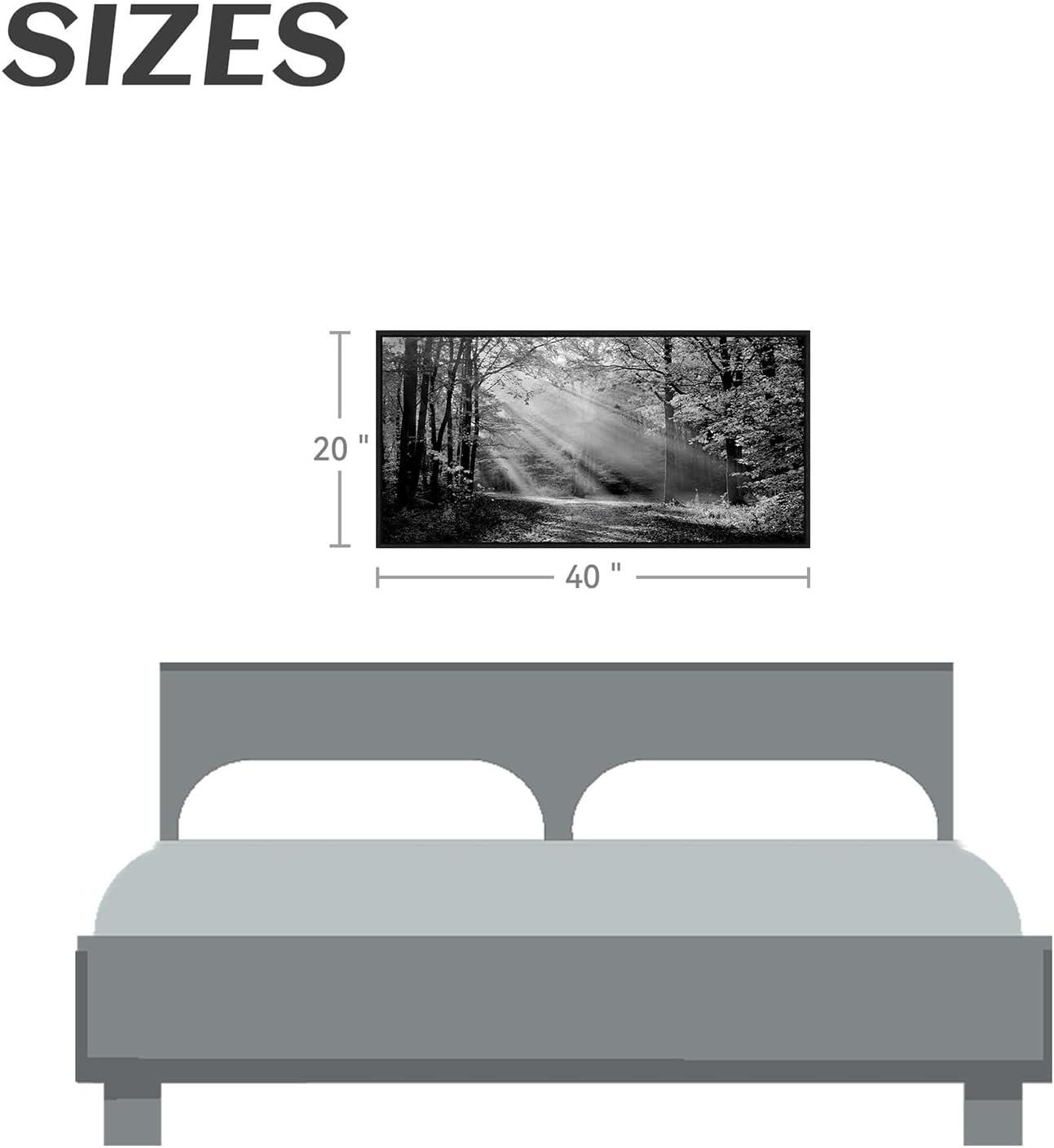 https://m.media-amazon.com/images/I/61HJ2bV4+WL._AC_SL1500_.jpg
