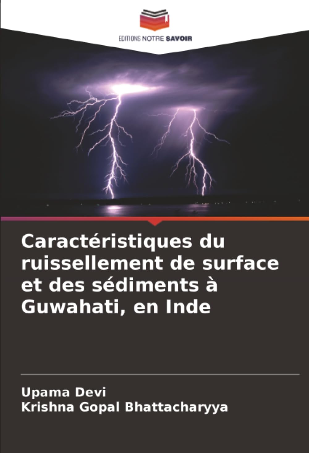 Caractéristiques du ruissellement de surface et des sédiments à Guwahati, en Inde