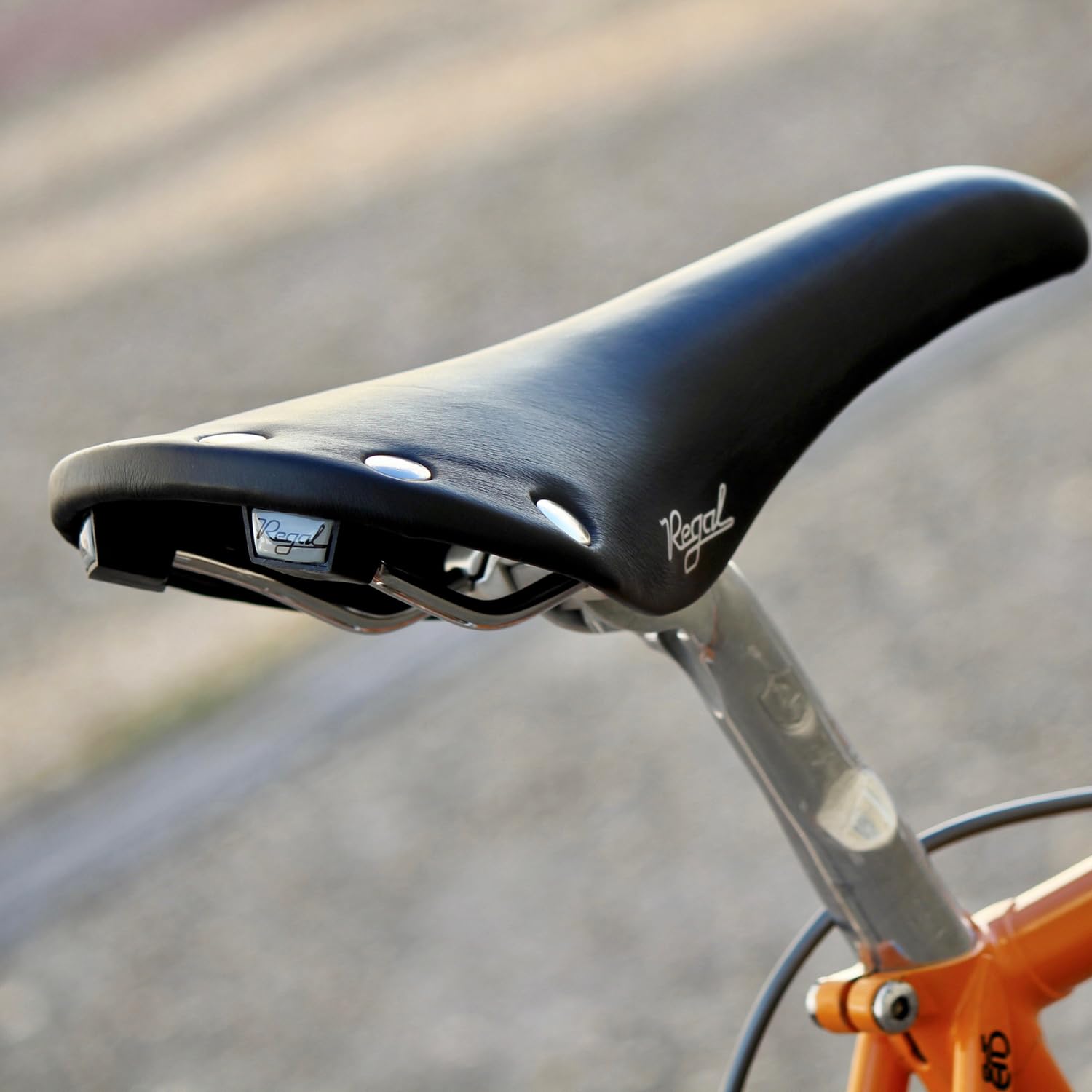 Amazon | セラサンマルコ（SELLE SAN MARCO） 自転車用サドル リーガル