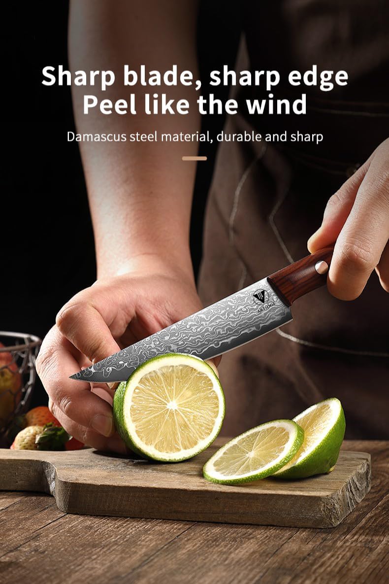 4-Piece Paring Knife Set – 67-Layer Damascus Steel Fruit Knives Forged Blades Peeling Knife, Natural Solid Wood Handle Utility Knives, Ultra-Sharp & Rust-Resistant, Perfect for Fine Dining