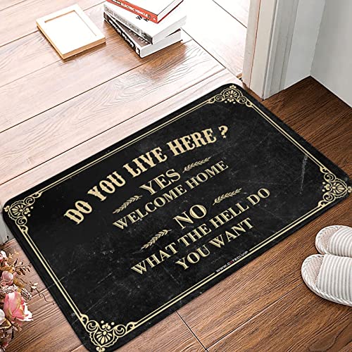 Tapis de porte d'entrée 65x90 résistant pour chambre et sol propre
