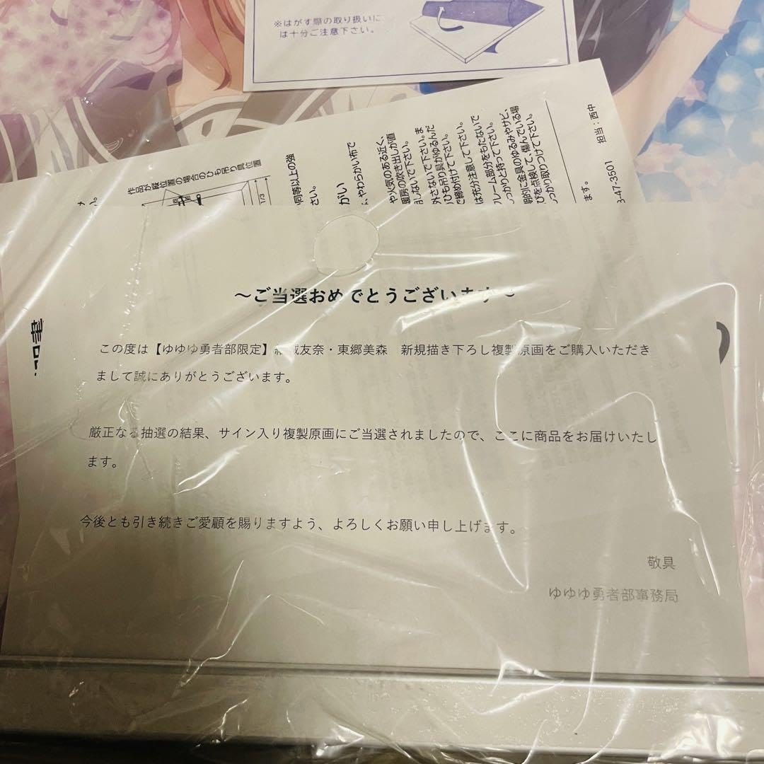 Amazon.co.jp: ゆゆゆ勇者部限定結城友奈東郷美森 新規書き下ろし 
