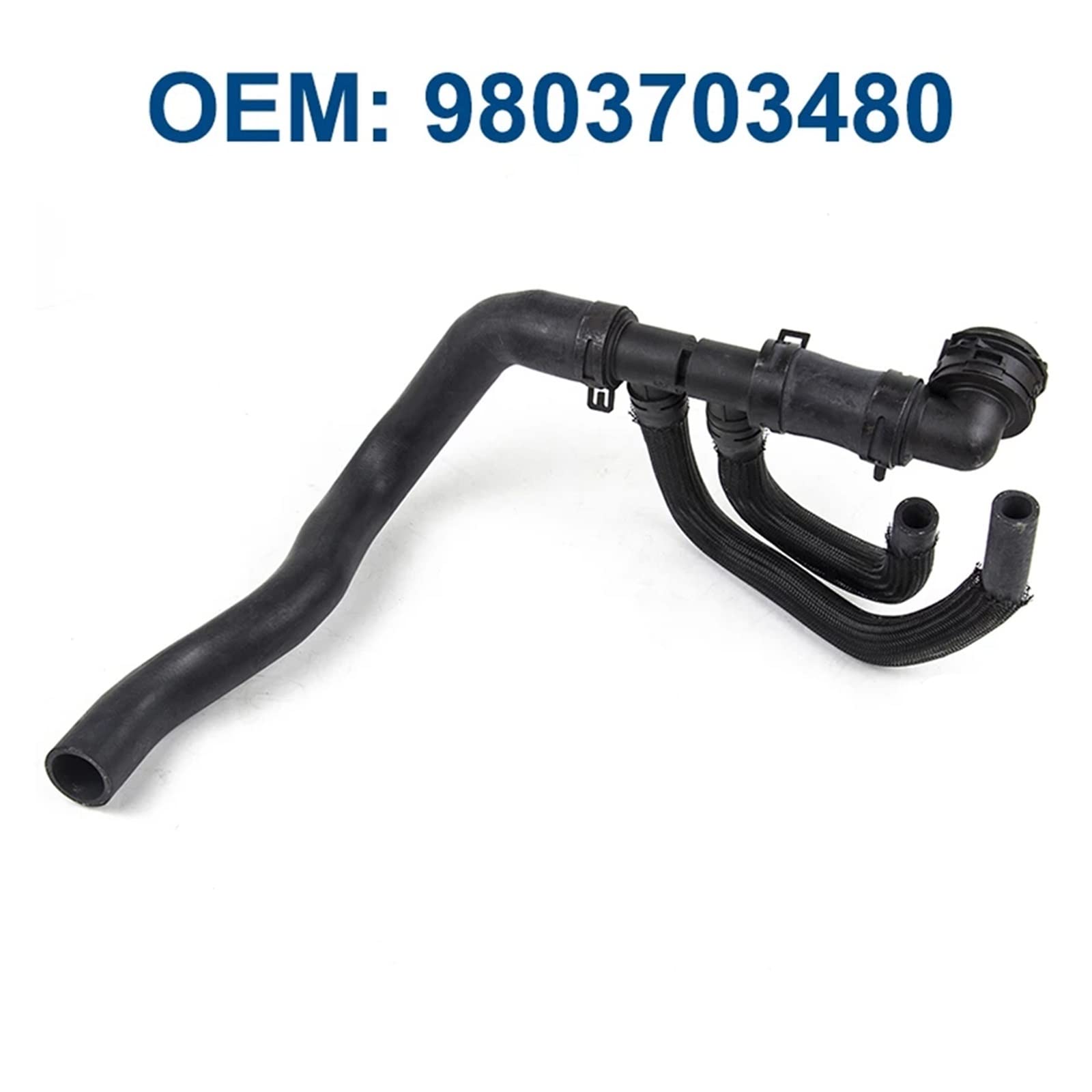 Amazon.com: 9803703480 Radiator Outlet Lower Water Pipe Hose Fit 