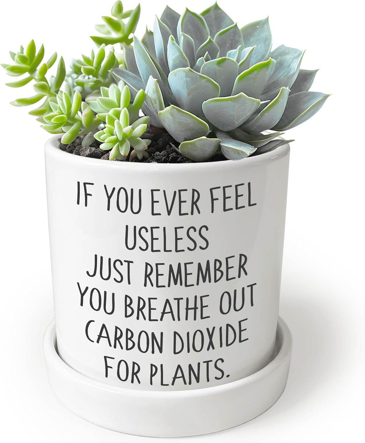 Lzracotz Cute Succulent Pots for Office - If You Ever Feel Useless Just Remember You Breathe Out Carbon Dioxide for Plants, Cute Plant Pots Desk