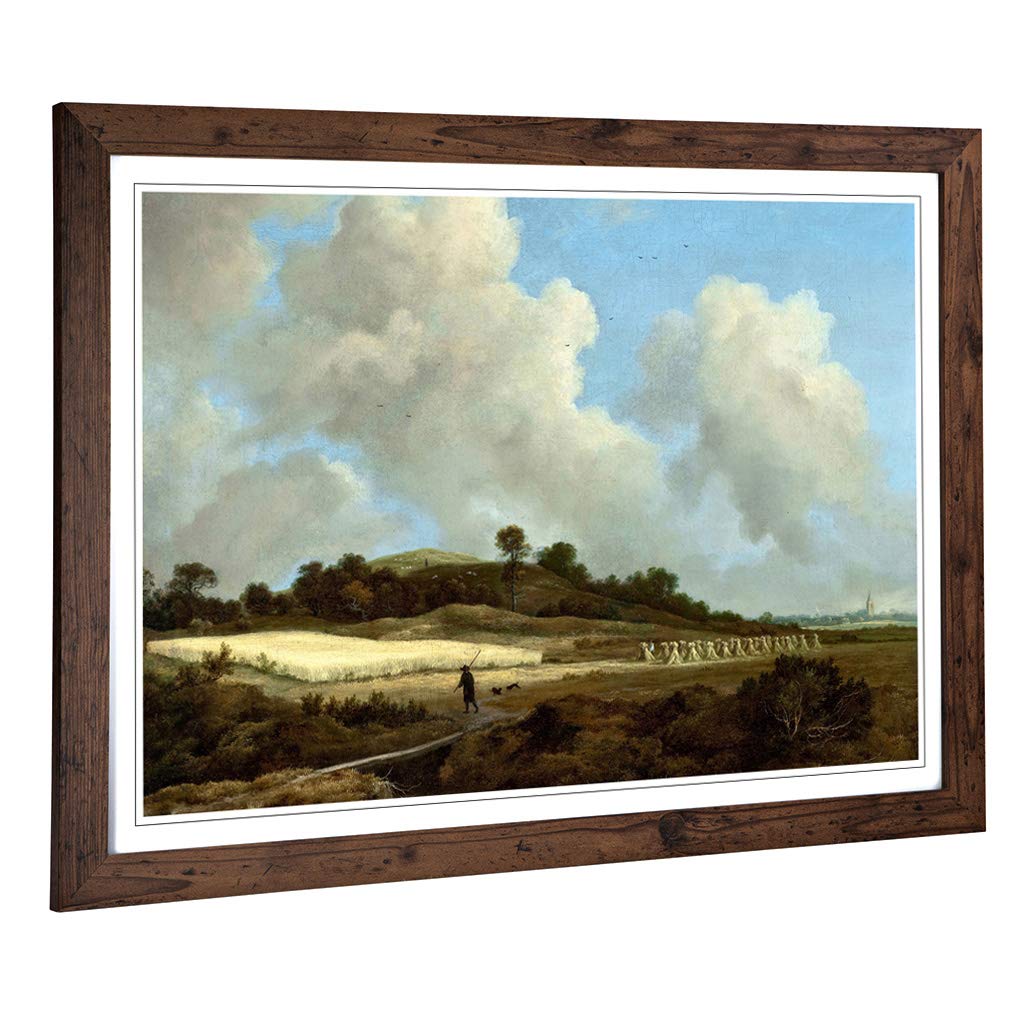 Big Box Art Framed Print of Jacob Ruisdael View of Grainfields Design | Wall Art Picture | Home Decor for Kitchen, Living Room, Bedroom, Hallway, Walnut, A2 / 24.5x18 Inch / 62x45cm