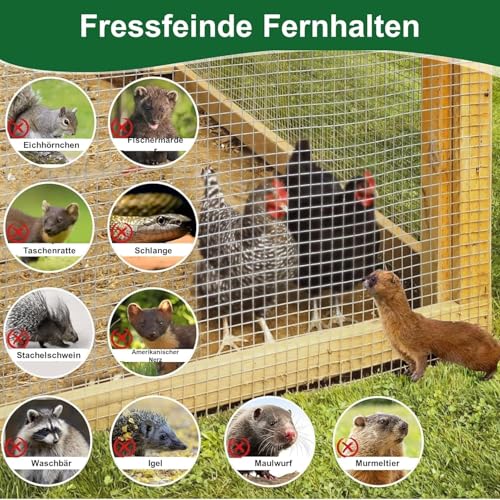 Amagabeli Feuerverzinkter Volierendraht 0.5m X 25m Feinmaschig 12x12mm Wühlmausgitter, Hühnerdraht, Kaninchendraht Für Hochbeet & Maschendrahtzaun Wetterfest