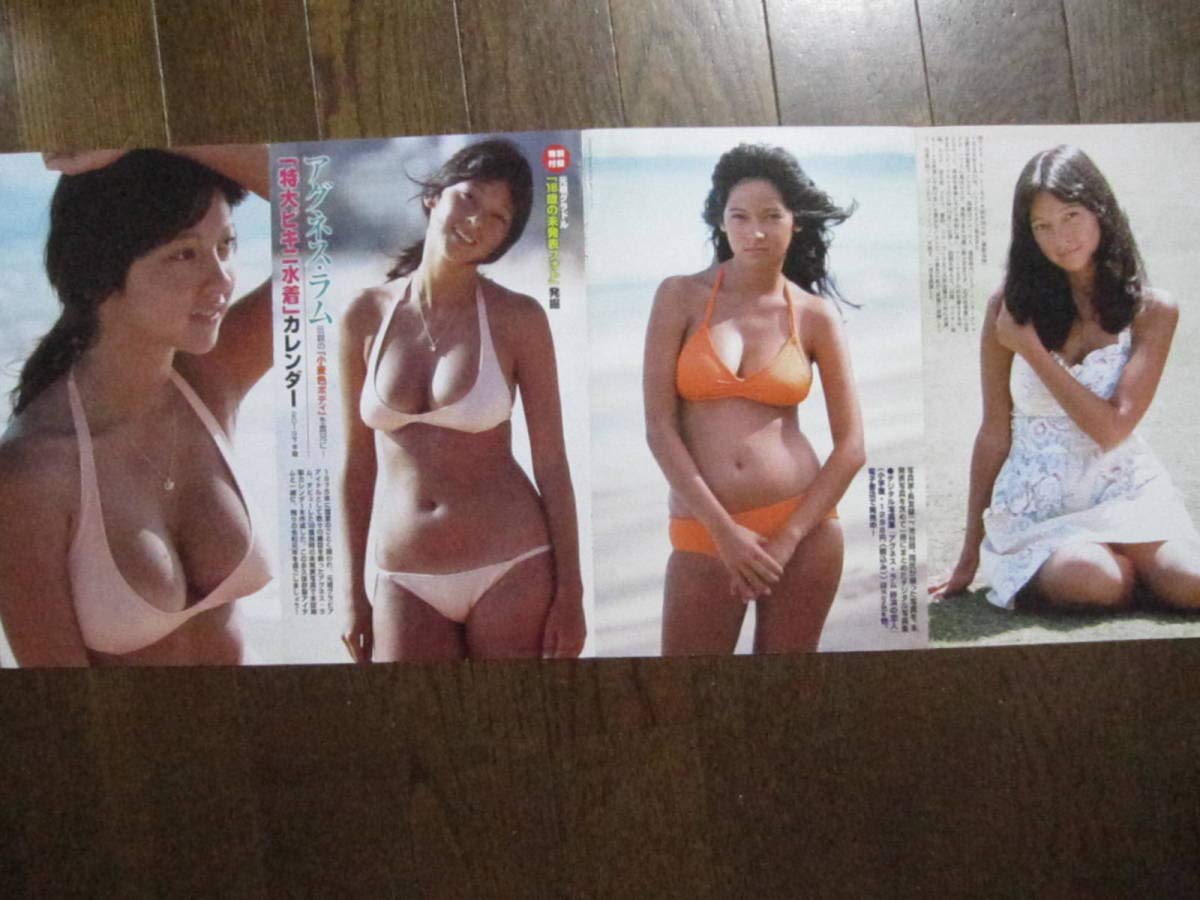 Amazon.co.jp: 両面ポスター アグネスラム a914-2 : ホビー