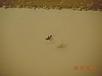 Review Image by John John